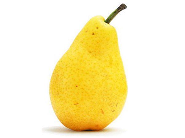 sadnica kruške Citronka - Limunka, otporna