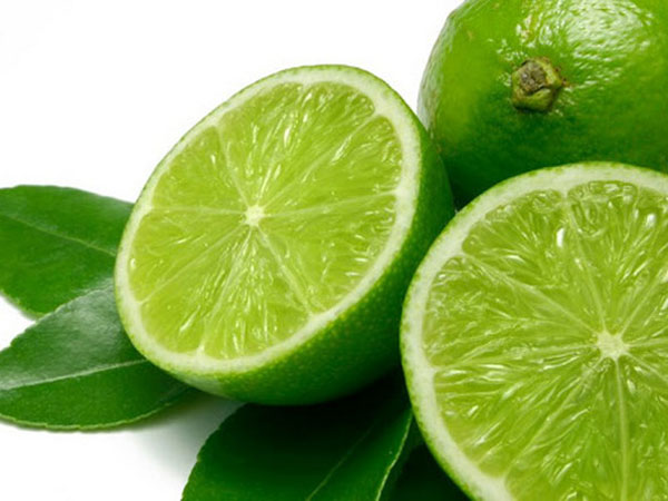 sadnica Limete