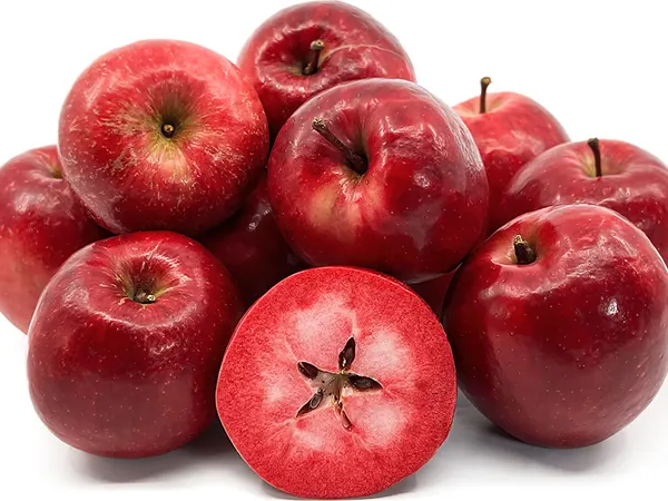 sadnica jabuke Red Love